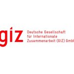 GIZ Logo (1)